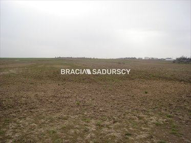 Inwestycyjna działka 1 ha z mediami i dojazdem - Morawica działka Morawica