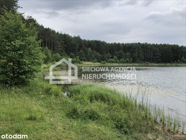 Urokliwa działka z pozwoleniem na dom i wodą działka Niesiołowice