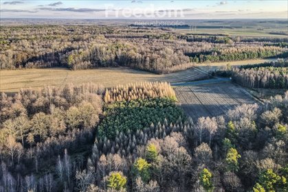 działka na sprzedaż 3975m2 działka Giedlarowa