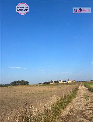 Działka siedliskowa na sprzedaż Siemirowice 3 000m2 Foto 2