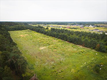 Leśna oaza 1011 m² | Sokolniki-Parcela | MPZP działka Sokolniki-Parcela, Amelii