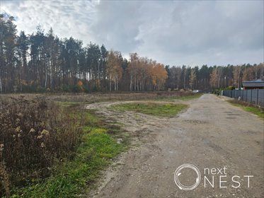 działka na sprzedaż 6166m2 działka Krępa, Dojazdowa