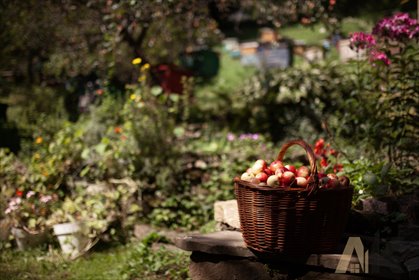 dom na sprzedaż 132m2 dom Nawojowa