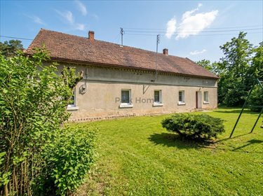 Gospodarstwo rolne z domem i lasem, 11,3 ha, cisza działka Gębice