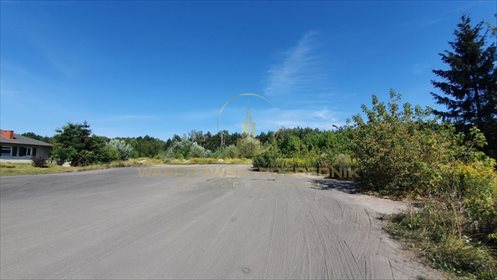 działka na sprzedaż 18000m2 działka Całowanie