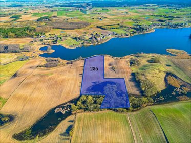 Sprzedam działkę 3,15 ha nad Jeziorem Iławskim z linią brzegową działka Nowa Wieś