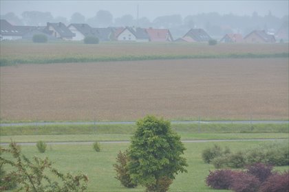 działka na sprzedaż 19498m2 działka Konarzewo, Konarzewo, Szkolna
