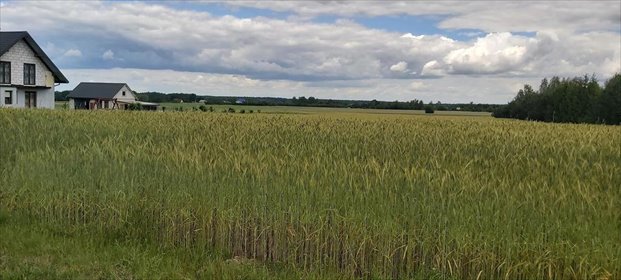 działka na sprzedaż 3000m2 działka Starościn