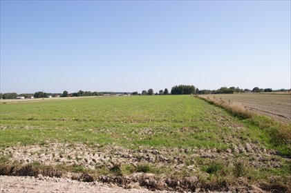 Działka 1800 m² w Krasnem (nad jeziorem, kanałem) działka Krasne