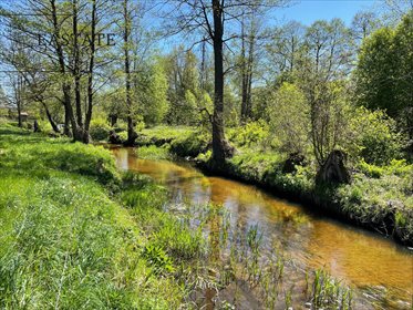 Działka z dostępem do rzeki i stawem, 2818 m² działka Długosiodło