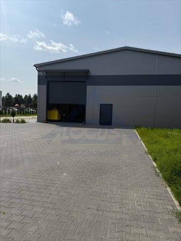 Zapraszam do wynajmu magazynu 700 m² z biurami, TIR, monitoring magazyn Dawidy Bankowe