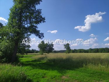 Działka inna na sprzedaż Nowy Lubiel 4 484m2 Foto 5