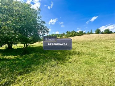 działka na sprzedaż 3000m2 działka Dziwiszów