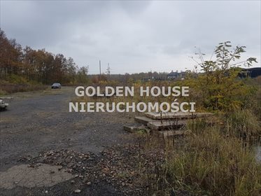 Działka inwestycyjna pod dzierżawę Będzin 50 000m2 Foto 6