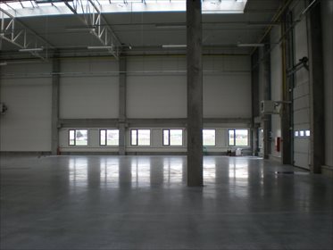 lokal użytkowy na wynajem 1500m2 lokal użytkowy Poznań, Grunwald, Grunwald