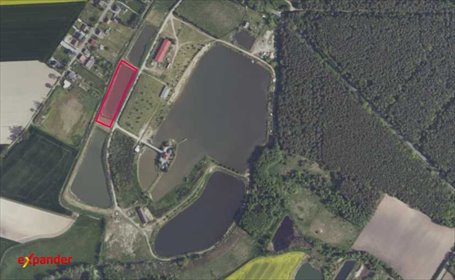 działka na sprzedaż 6069m2 działka Stroszki