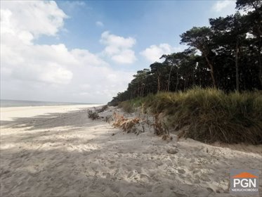 Sprzedam działkę 1476 m² w Niechorzu z mediami i blisko morza działka Niechorze, Klifowa