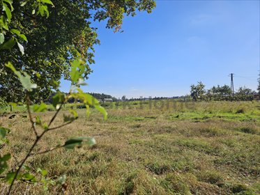 działka na sprzedaż 1000m2 działka Betkowo