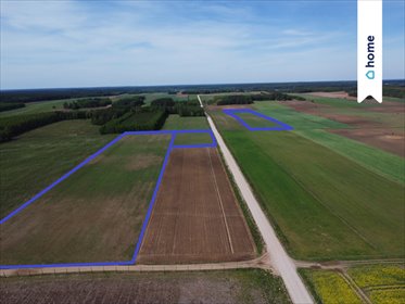 11,2 ha ziemi w Wierzchlesie – atrakcyjna cena! działka Wierzchlesie