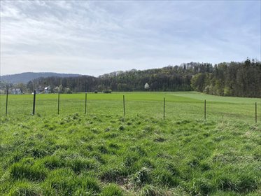 działka na sprzedaż 1064m2 działka Cisownica, Cisownica, Jana Ożany
