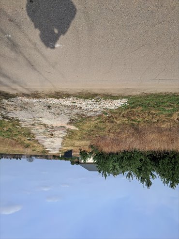 działka na sprzedaż 1050m2 działka Skubianka