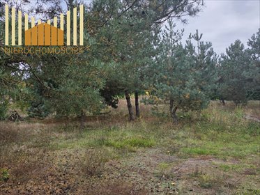 Działka 1212 m² w spokojnej okolicy - polecam! działka Prace Duże