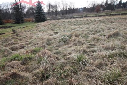Działka budowlana na sprzedaż Krosno, Suchodół 2 000m2 Foto 1