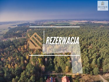 działka na sprzedaż 4900m2 działka Gryźliny