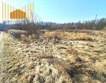 Na sprzedaż działka 940 m² w Mrozach - dostęp do mediów, cisza i bliskość natury działka Mrozy