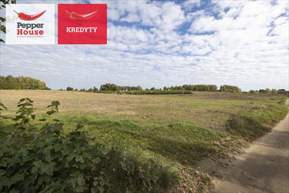 Do sprzedania działka 1110 m² w Staniszewie w otulinie Kaszubskiego Parku działka Staniszewo, Rajska