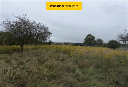działka na sprzedaż 5011m2 działka Niegowonice, Lipowa