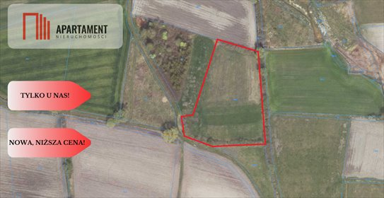 działka na sprzedaż 11900m2 działka Jasieniec