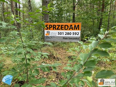 działka na sprzedaż 16800m2 działka Wysoka Lelowska