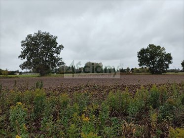 Działka 3 327 m² w Kampinosie A - polecam działka Kampinos A