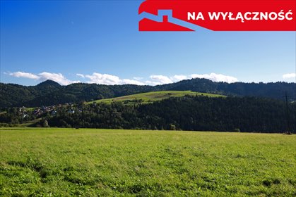 działka na sprzedaż 11003m2 działka Grywałd