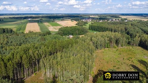 działka na sprzedaż 3317m2 działka Turośń Kościelna