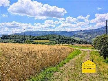 Dom na sprzedaż Laskowa 220m2 Foto 2