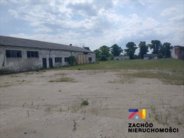 działka na sprzedaż 40000m2 działka Nowe Kurowo