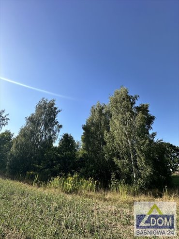 Działka 1818 m² w Płouszowicach Kolonii - widok i prywatność działka Płouszowice, Płouszowice Kolonia