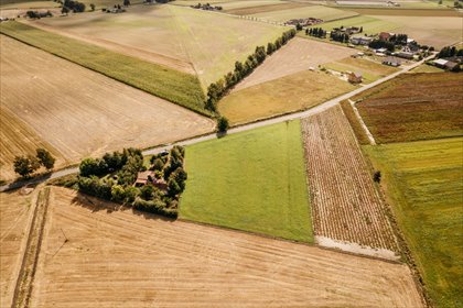 Dobieszczezna -  działki budowlane. działka Dobieszczyzna