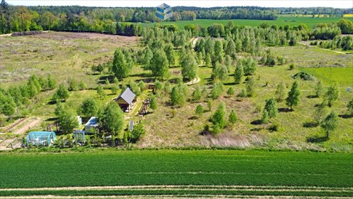 Zapraszam do zakupu działki 1686 m² w Ostrowinie - las, jeziora, rekreacja działka Ostrowin