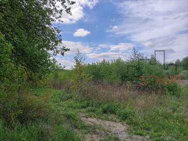 Na sprzedaż działka 3155 m² z warunkami zabudowy w Obrębie działka Obręb