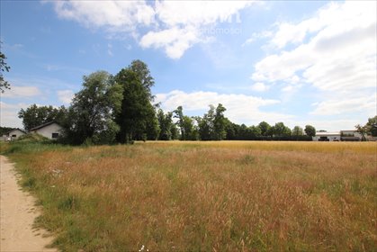 działka na sprzedaż 1000m2 działka Koło