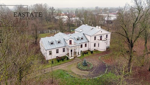 Urokliwy dworek z XIX wieku (16 pokoi, możliwość hotelu) dom Plecka Dąbrowa