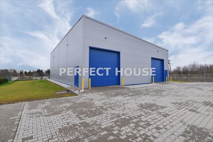 magazyn na wynajem 390m2 magazyn Niepruszewo