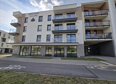 Wynajmę nowoczesny lokal usługowy 96 m² w Kielcach lokal użytkowy Kielce, Sady, Klonowa
