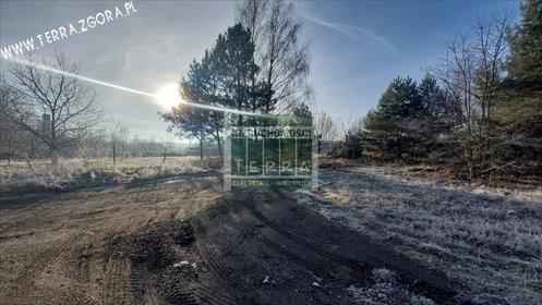 działka na sprzedaż 12673m2 działka Grabowiec