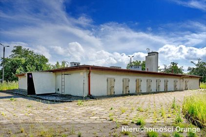 Lokal użytkowy na sprzedaż Koryta 1 081m2 Foto 4