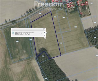Działka budowlana na sprzedaż Strzegów 21 000m2 Foto 3