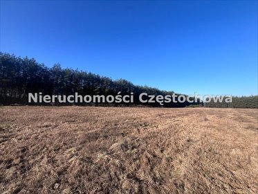 działka na sprzedaż 696m2 działka Aleksandria